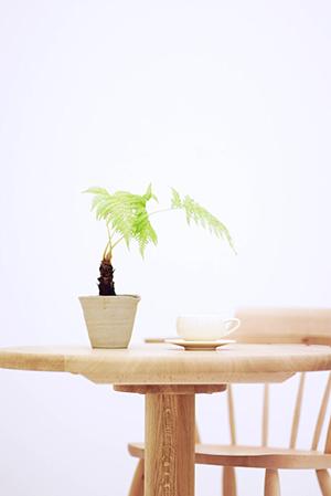 家具通販にはない雰囲気を感じて購入