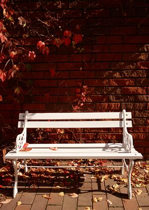 床材にこだわったマイホームを建てよう