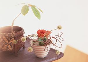 神奈川県横浜市にあるタカラスタンダード横浜ショールームの魅力と詳細情報