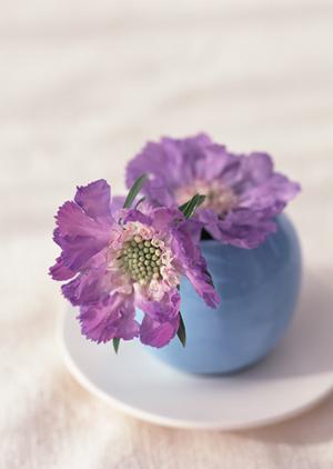 「アンティーク家具を選ぶコツとおすすめスタイル｜インテリアを格上げするための完全ガイド」