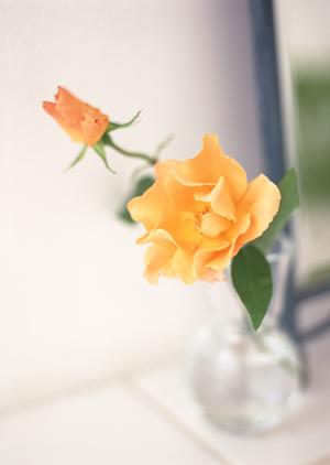 リビングにおすすめのシーリングファン