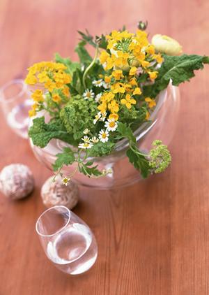 プロが教える！木材の選び方と耐久性に優れた塗装方法【必見】